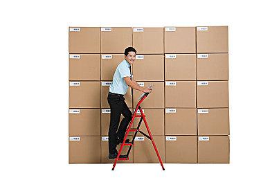 《葛叶雷道复刻版：超力兵团奇谭》新预告片 登场人物介绍！